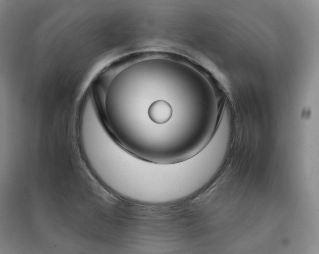 X0000094431368200711151333