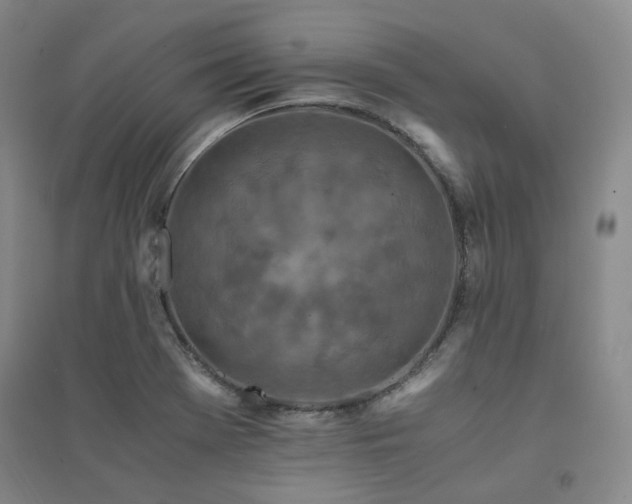X0000094431369200711151333
