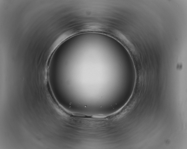 X0000094431370200711151333