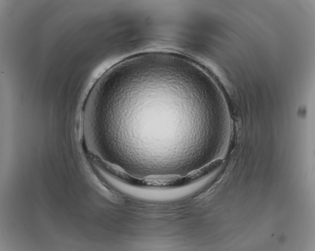 X0000094431371200711151333