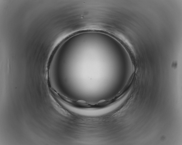 X0000094431372200711151333