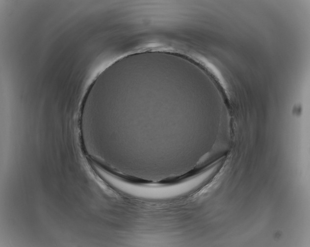 X0000094431373200711151333