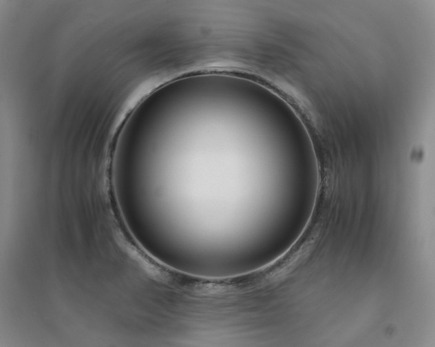 X0000094431374200711151333