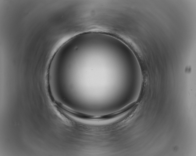 X0000094431375200711151333