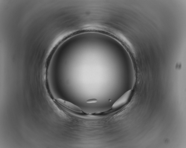 X0000094431376200711151333