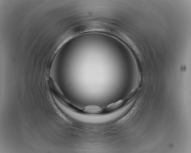X0000094431377200711151333