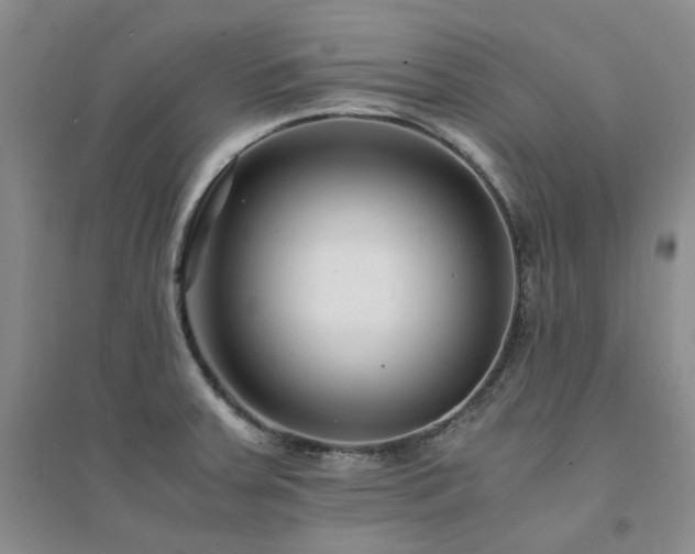 X0000094431379200711151333