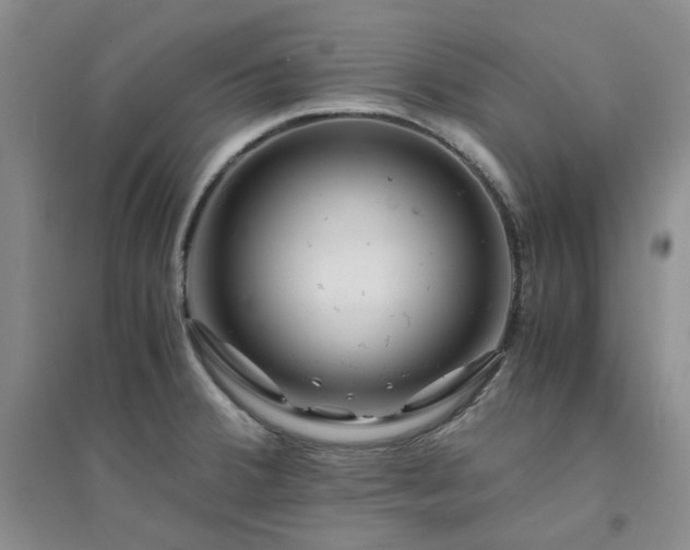 X0000094431380200711151333