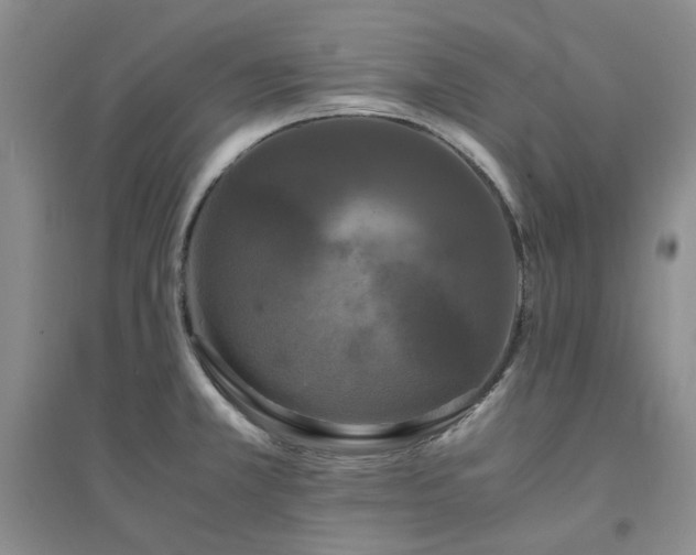 X0000094431381200711151333