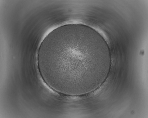 X0000094431382200711151333