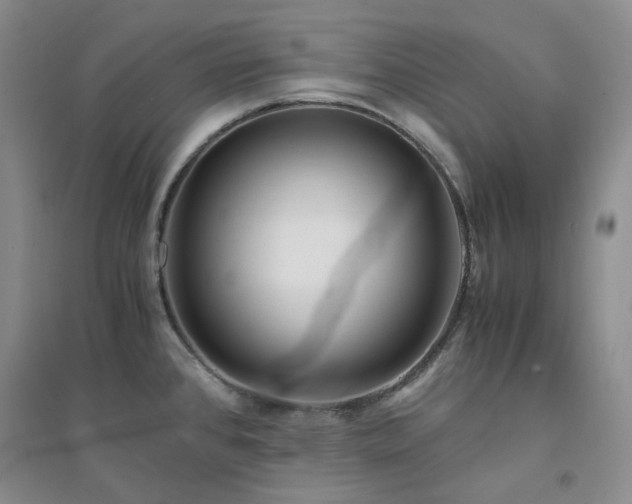 X0000094431384200711151333