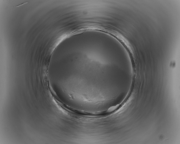 X0000094431385200711151333