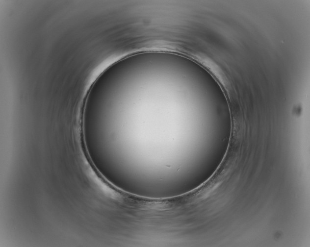 X0000094431387200711151333