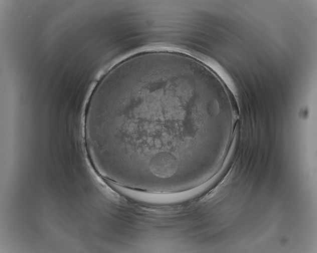 X0000094431388200711151333