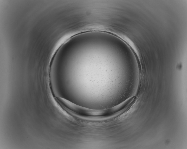 X0000094431389200711151333