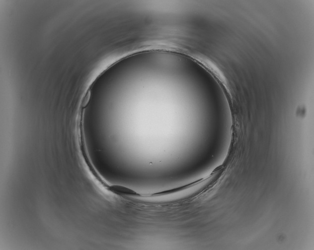 X0000094431391200711151333