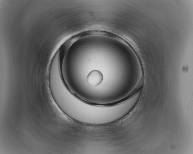 X0000094431392200711151332