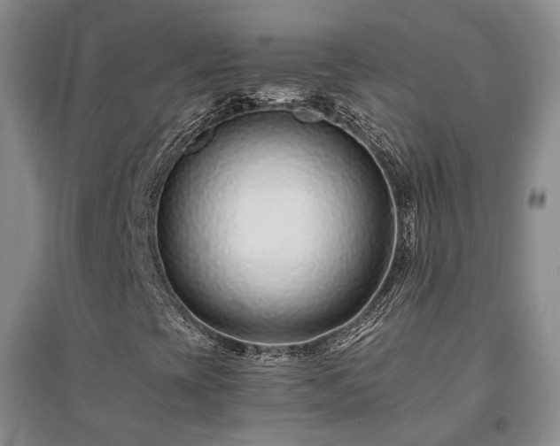 X0000094431393200711151332