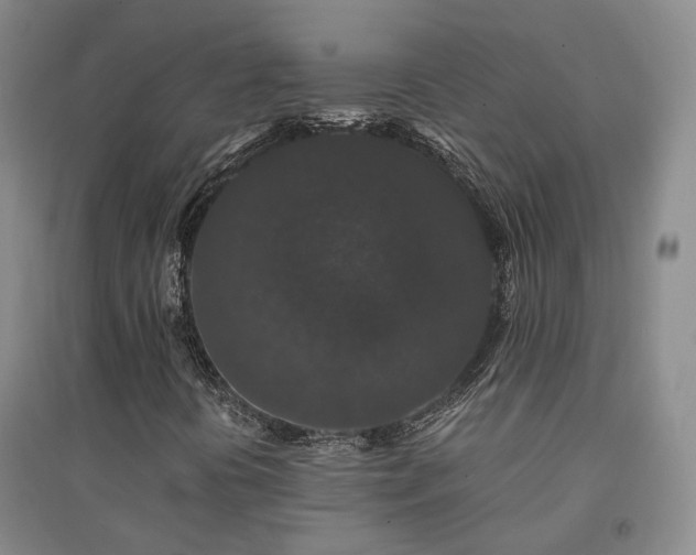 X0000094431394200711151332