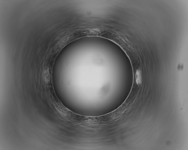 X0000094431395200711151332