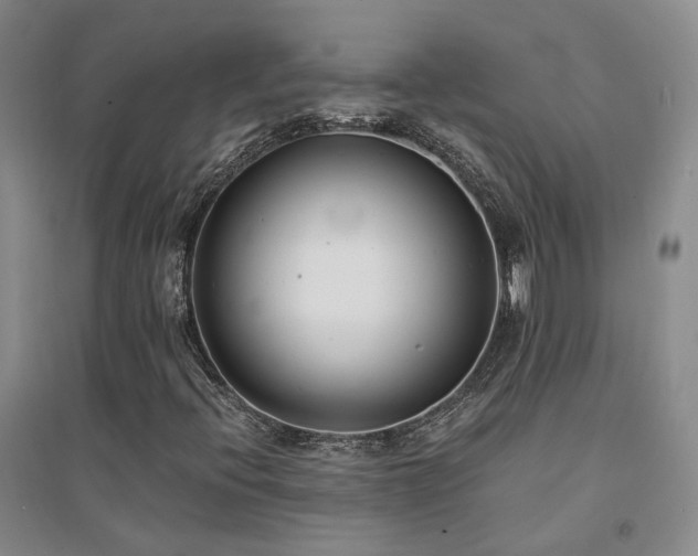 X0000094431396200711151332