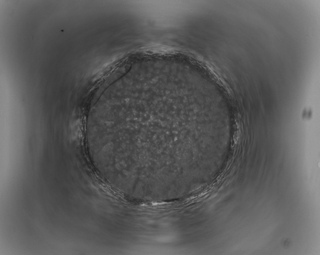 X0000094431397200711151332