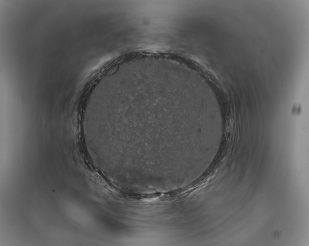 X0000094431398200711151332