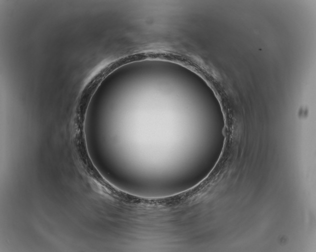 X0000094431400200711151332