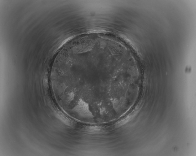 X0000094431401200711151332