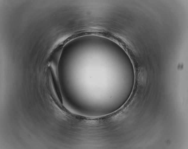 X0000094431402200711151332