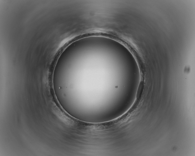 X0000094431404200711151332