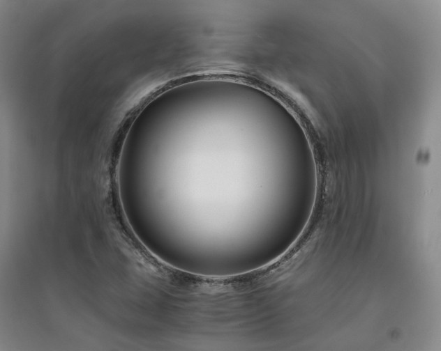X0000094431407200711151332