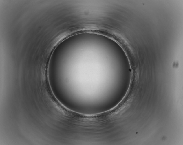 X0000094431409200711151332