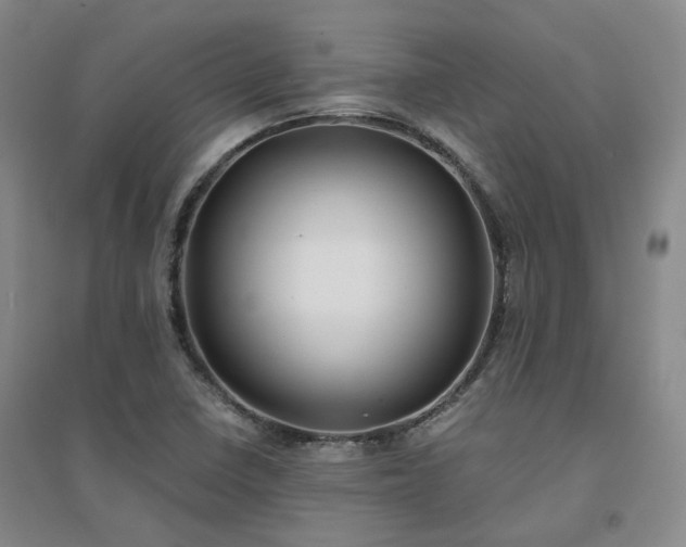 X0000094431410200711151332