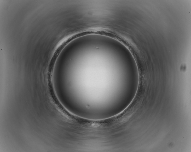 X0000094431412200711151332