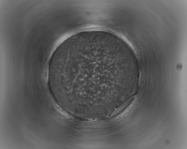X0000094431413200711151332
