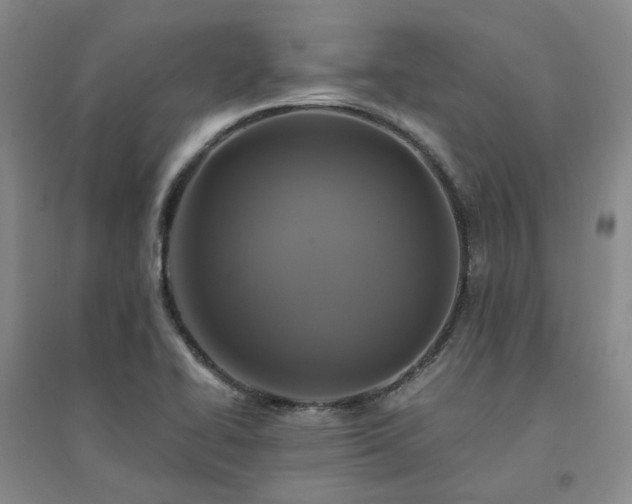 X0000094431414200711151332