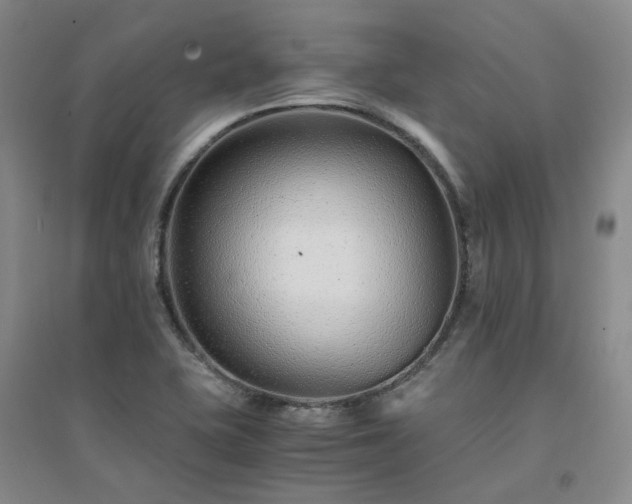 X0000094431415200711151332