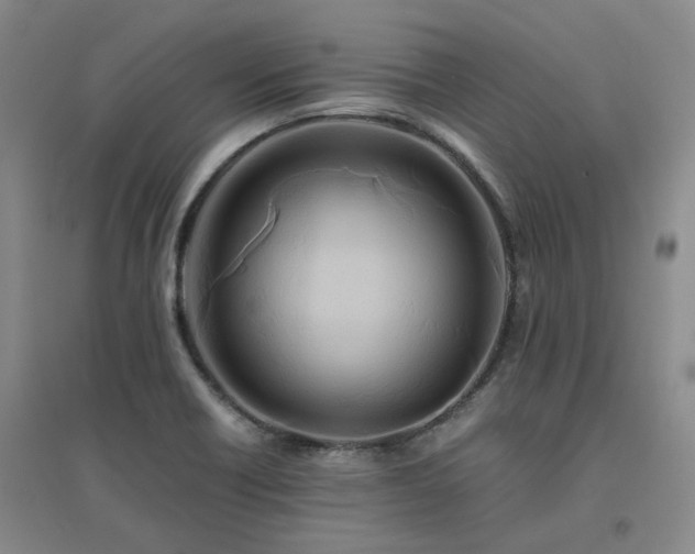 X0000094431418200711151332