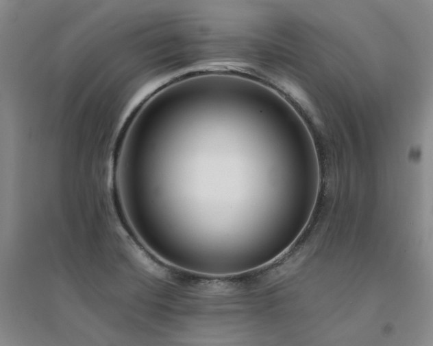 X0000094431420200711151332
