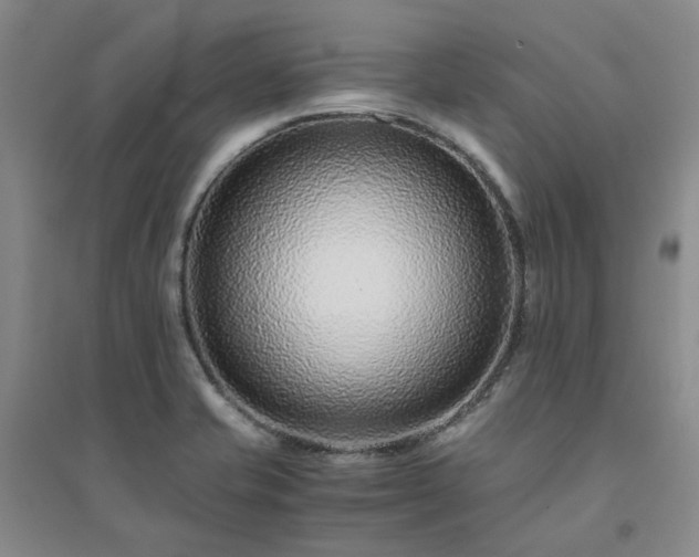X0000094431421200711151332