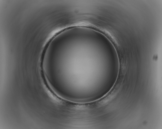 X0000094431422200711151332