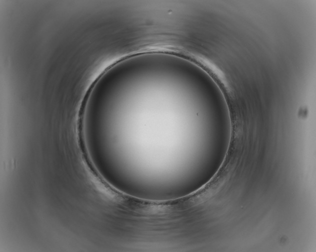 X0000094431423200711151332