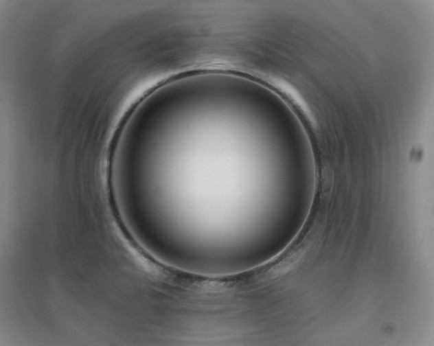 X0000094431424200711151332