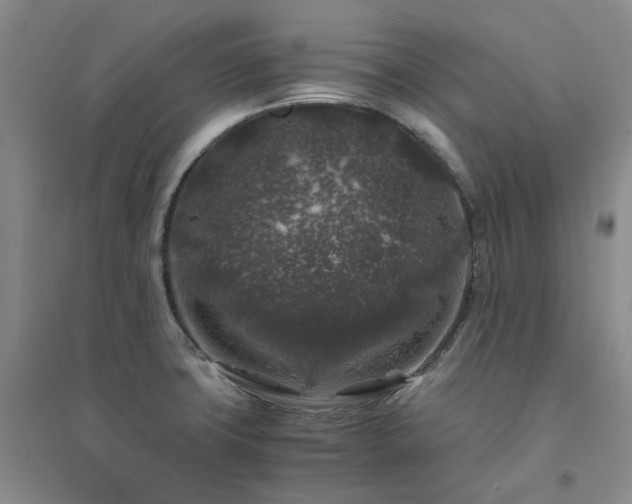 X0000094431427200711151332