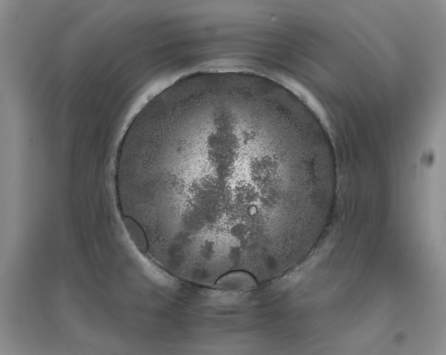 X0000094431429200711151332