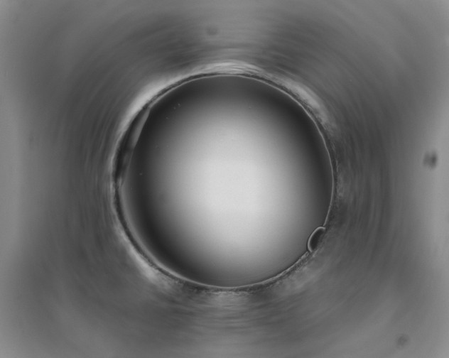 X0000094431430200711151332