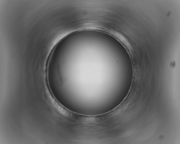 X0000094431431200711151332
