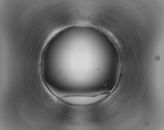 X0000094431432200711151332