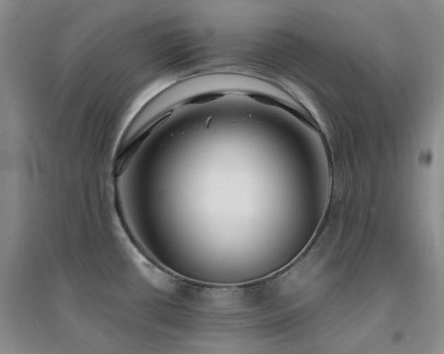 X0000094431434200711151332